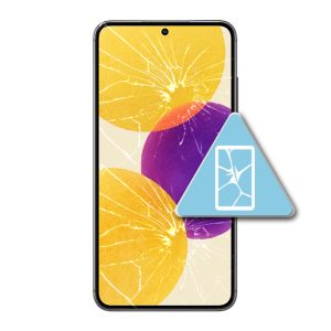 Samsung Galaxy S24 Plus Bytte Skjerm