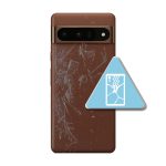 Google Pixel 10 Pro XL Bak Glass